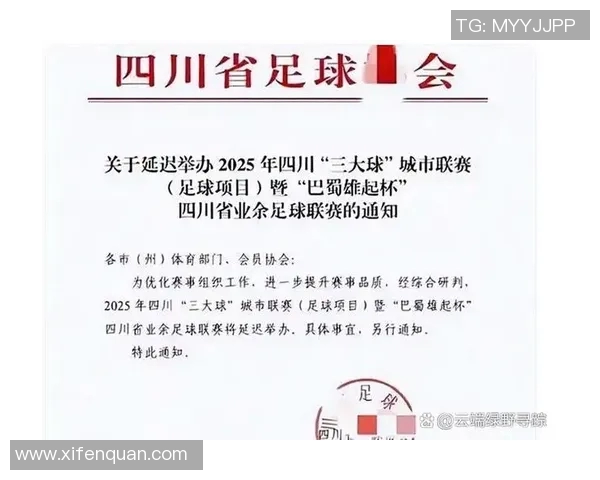 四川足球最新动态分析与未来发展趋势探讨