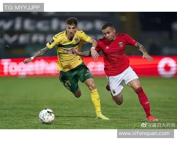 迪纳摩与马里迪莫激战正酣足球盛宴引发球迷热潮